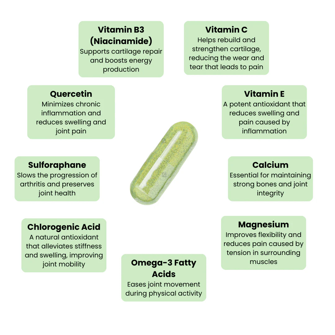 Moringa Powder Capsules